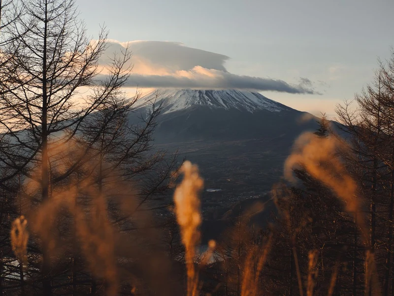 Snow-capped Mount Fuji framed by autumn trees